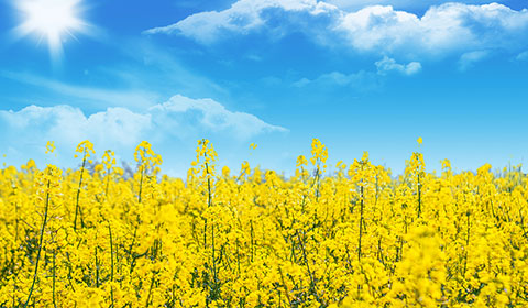 河北歐克新型材料股份有限公司 生態(tài)環(huán)境保護(hù)信息